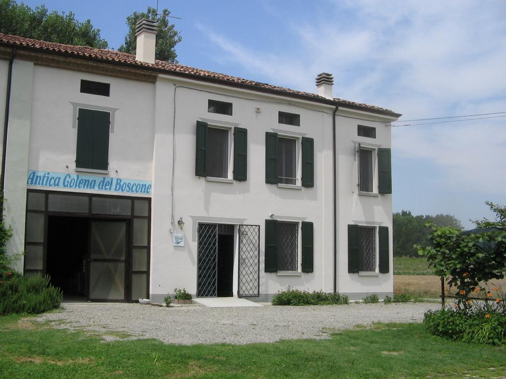 Agriturismo Antica Golena Guastalla Exteriör bild